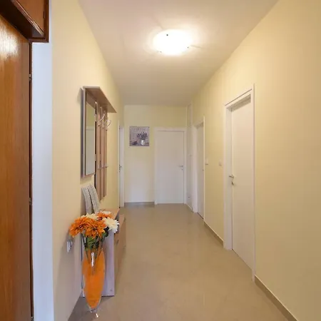 Brkljaca Apartment *