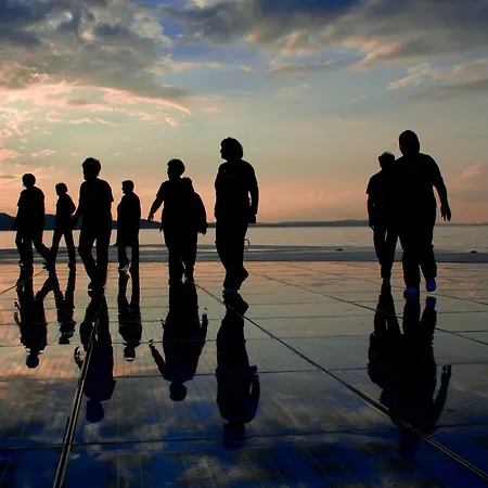 Brkljaca Zadar